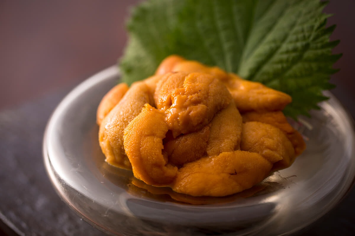 【ベーシック】季節の創作会席|旬を味わう基本コース